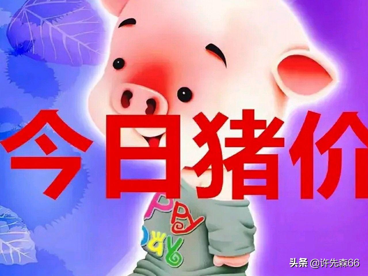 娱乐生活 第48页