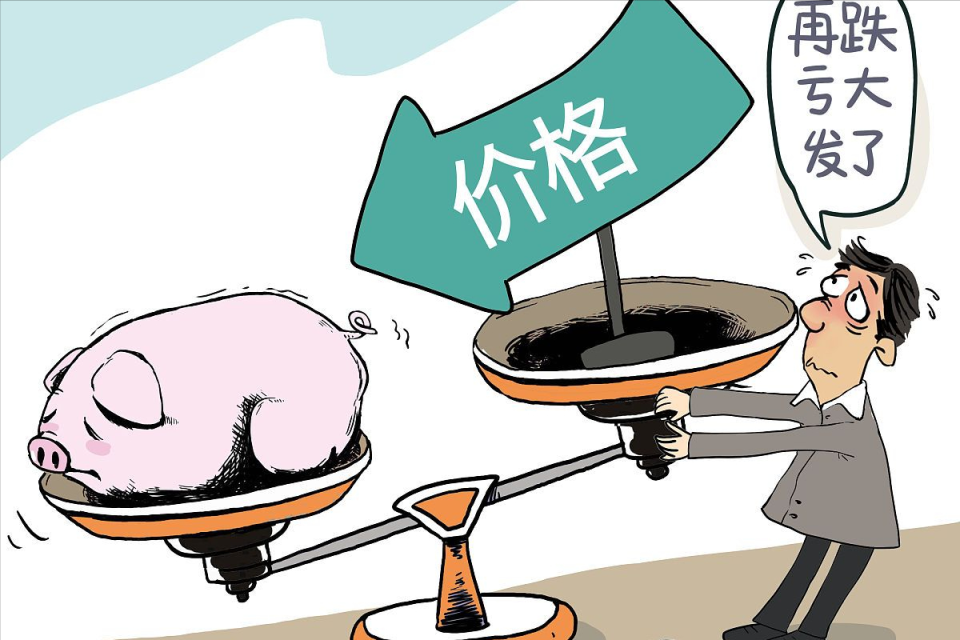 地方新闻 第17页